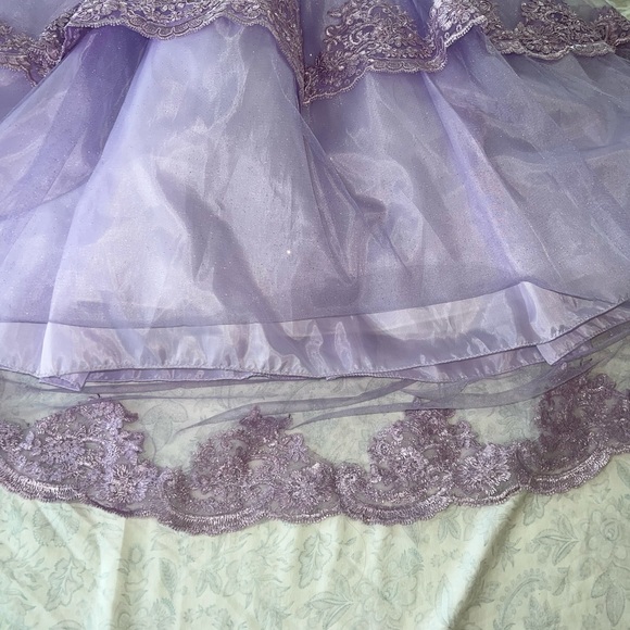 Custom princess dresses in a long sleeve and in color purple! Size 6 - Picture 9 of 16